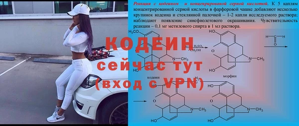 прущие крисы Инта