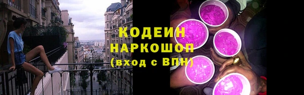 дживик Инсар