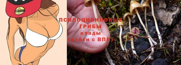 дживик Инсар