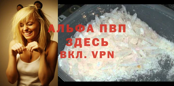 дживик Инсар