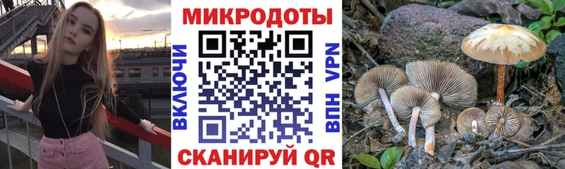 Псилоцибиновые грибы мицелий  Буйнакск 